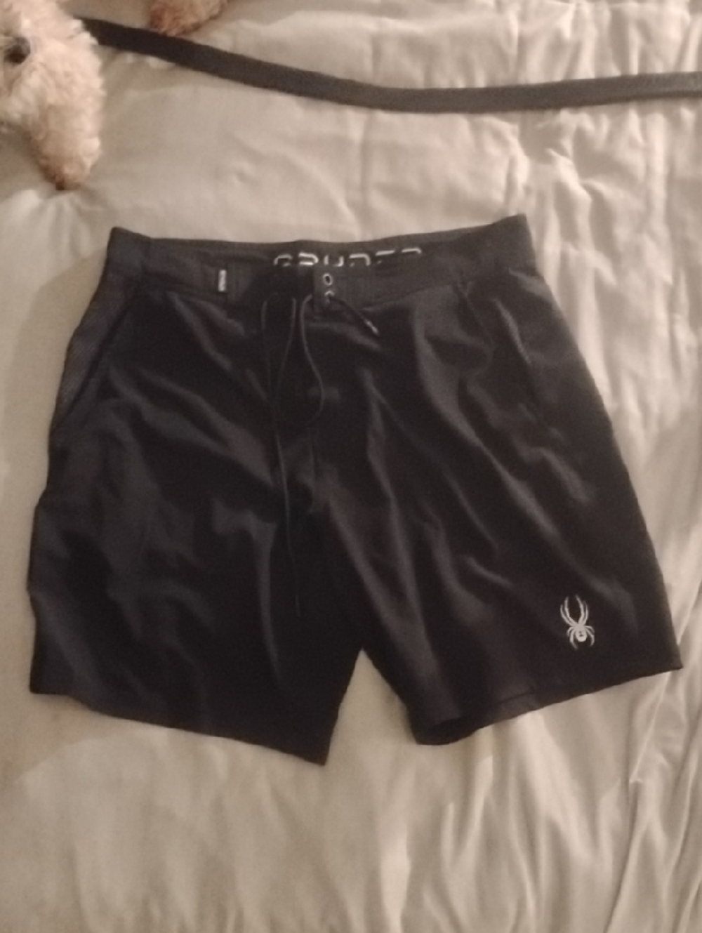 Spyder Black Shorts with White Spider Logo